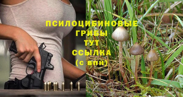 ПСИЛОЦИБИНОВЫЕ ГРИБЫ Алексеевка