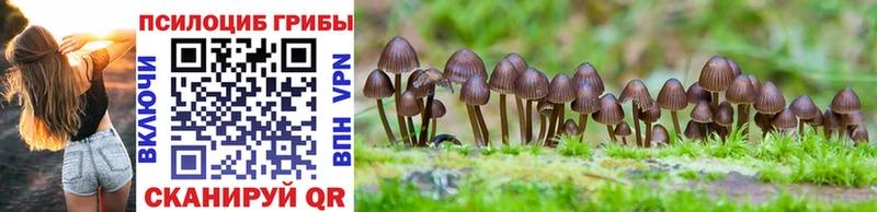 Галлюциногенные грибы Cubensis  Билибино 